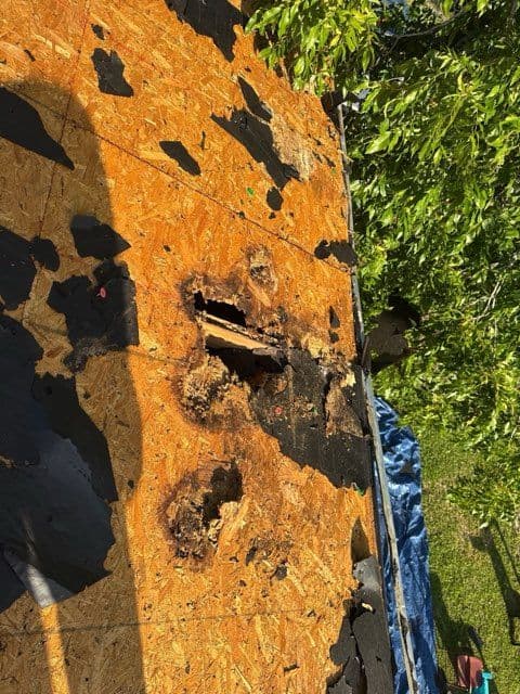 Gallery photos for Ensuring Roof Safety by Addressing Hidden Damage: Image #2